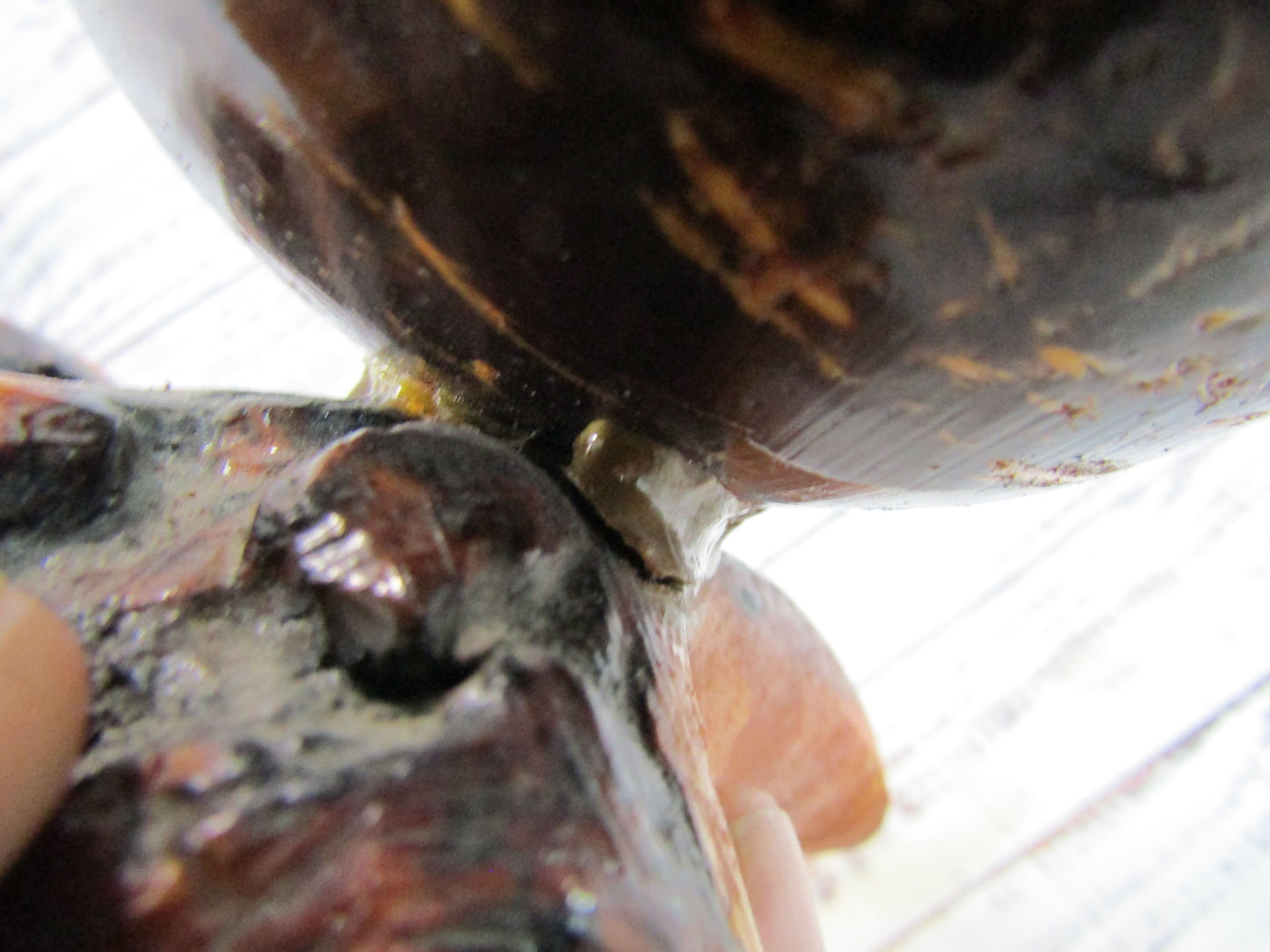 Handcrafted Wood & Coconut Aruba Coin Ashtray