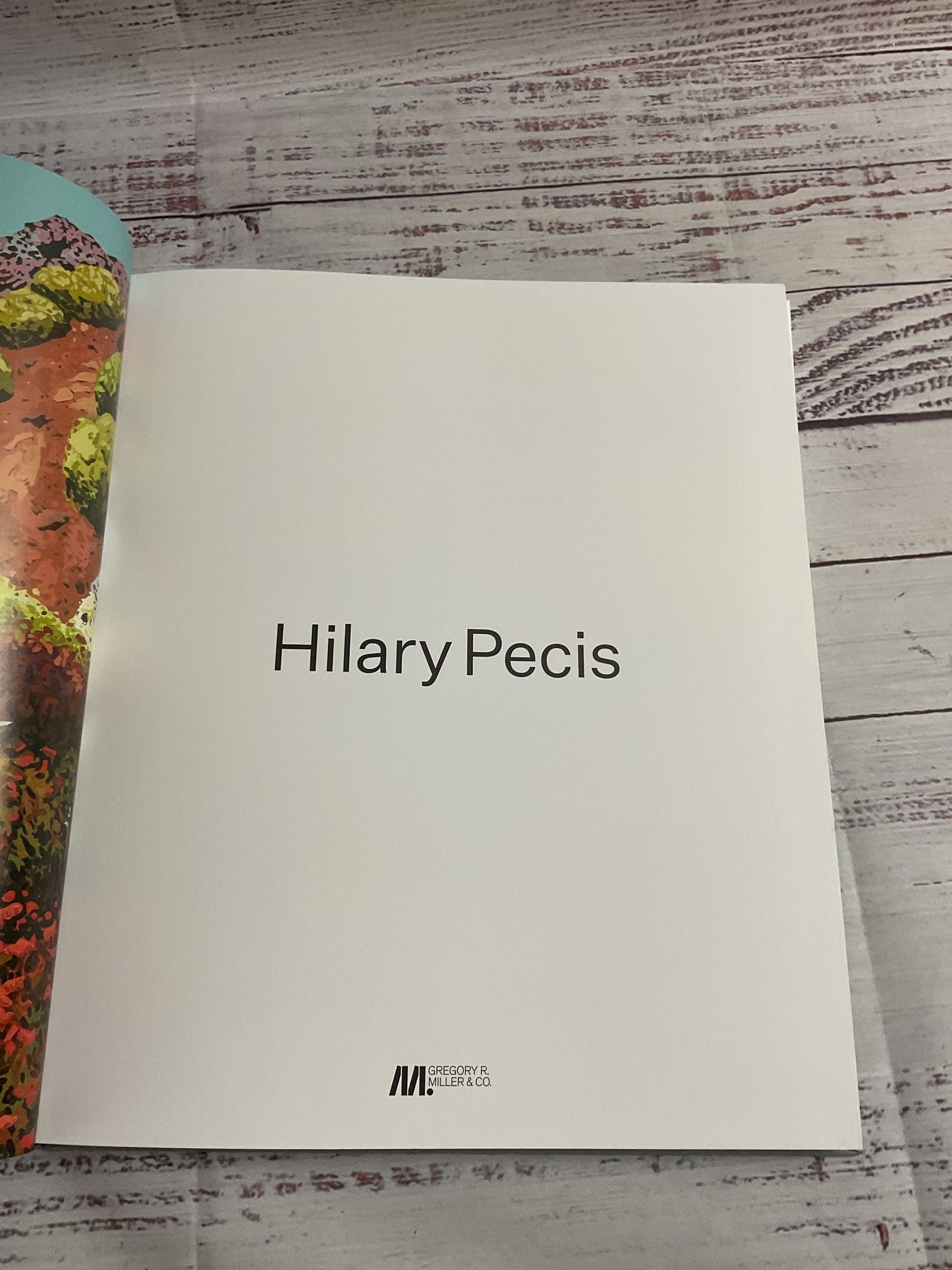 Hilary Pecis Hardcover Artbook
