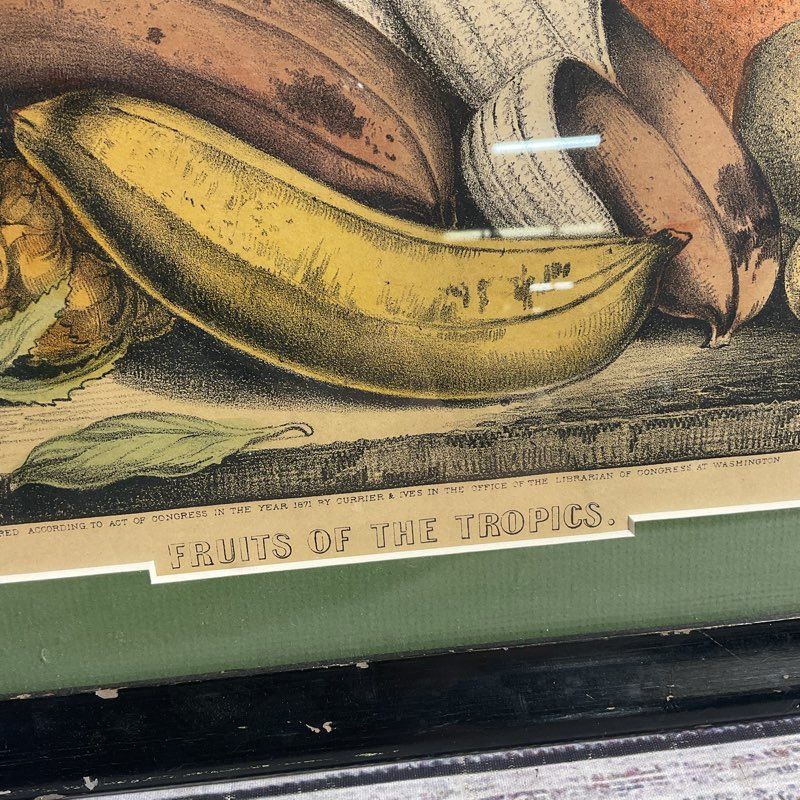 Antique 1871 Fruits of the Tropics by Currier & Ives Hand Colored Lithograph