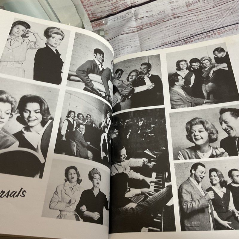 Stephen Sondheim Finishing The Hat : Collected Lyrics 1954-1981
