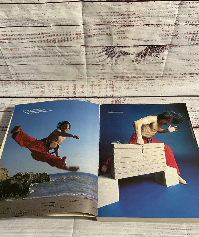 The Complete Martial Artist Vol. 1 By Master Hee Il Cho Paperback