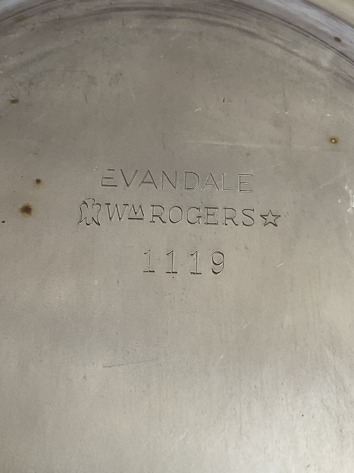 Wm Rogers Evandale Long Curved 14" Tray
