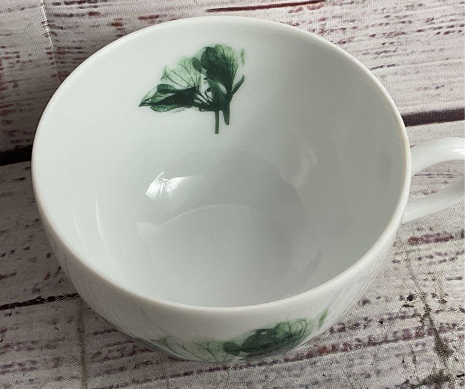 Contre Jour by Raynaud Limoges Floral Tea Cup Saucer Salad Plate White Green