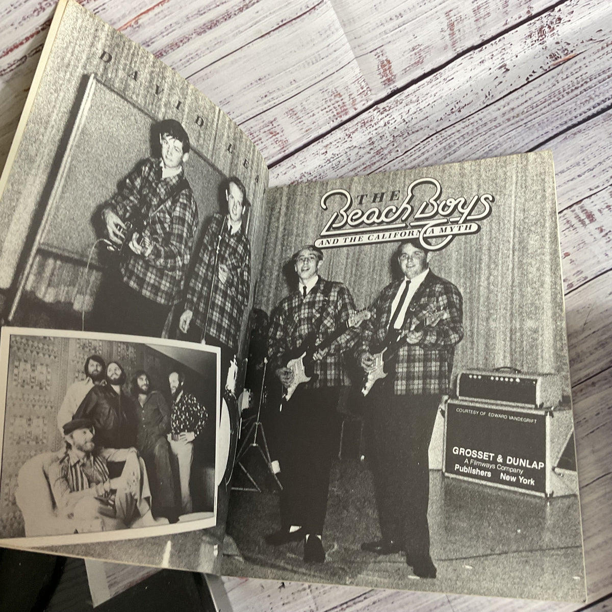 The Beach Boys and the California Myth by David Leaf (1 of 2)