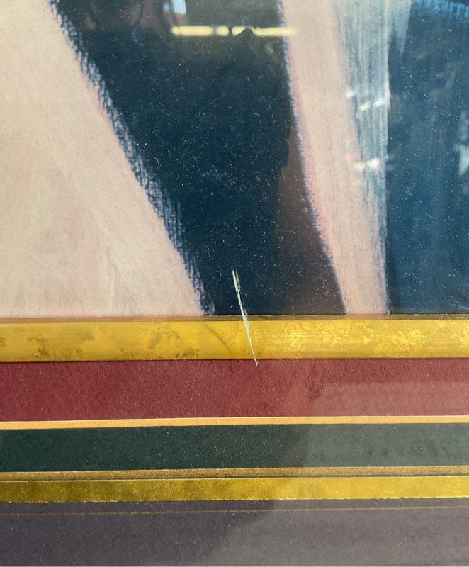 Itzchak Tarkay NICOLE & CHLOE Large Art Print Signed Framed & Matted