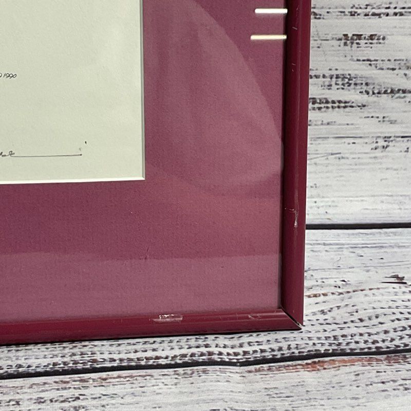 VTG. "The Good Times" Print 838/950 by Barbara Lavalle Signed, Framed