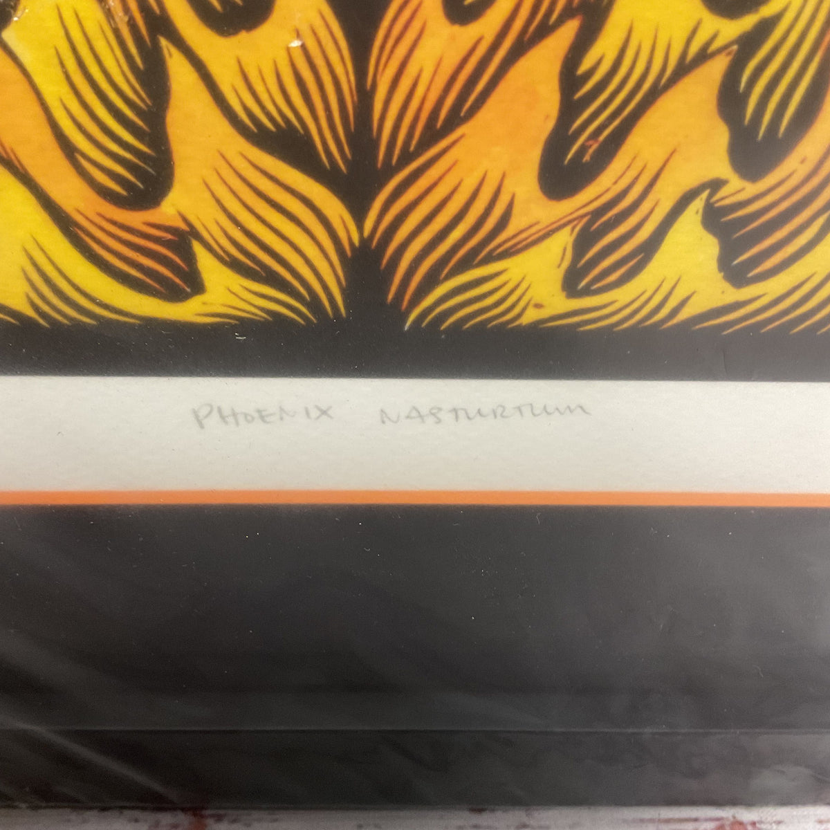 Roger Peet "Phoenix Nasturtium" Print Signed Framed 7/50 Artwork