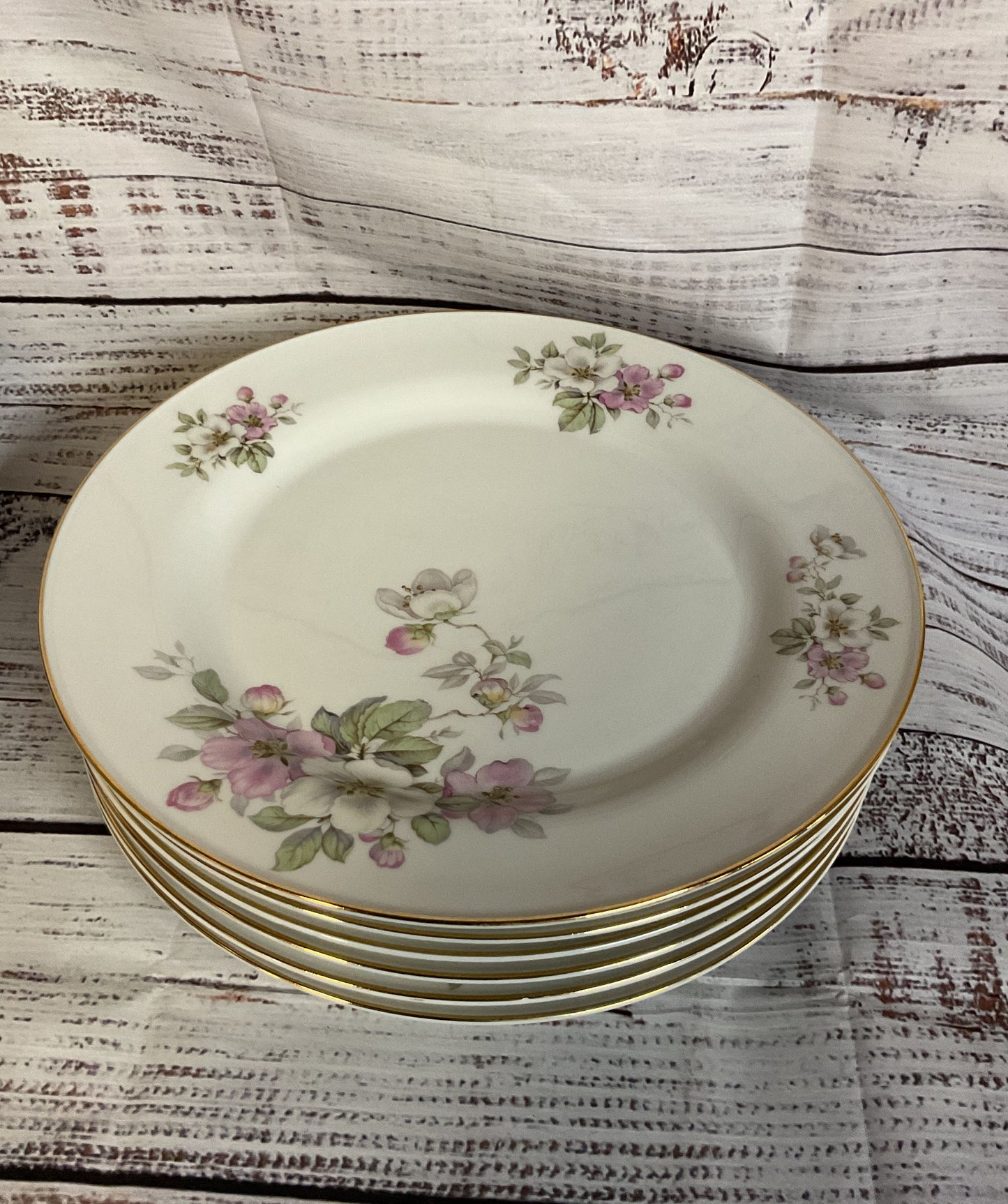 Tirschenreuth Bavaria Germany Apple Blossom White Porcelain 6 Dinner Plates