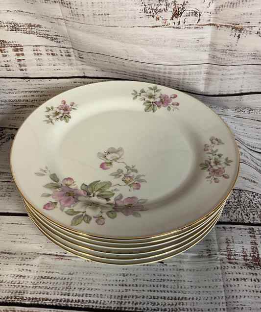 Tirschenreuth Bavaria Germany Apple Blossom White Porcelain 6 Dinner Plates