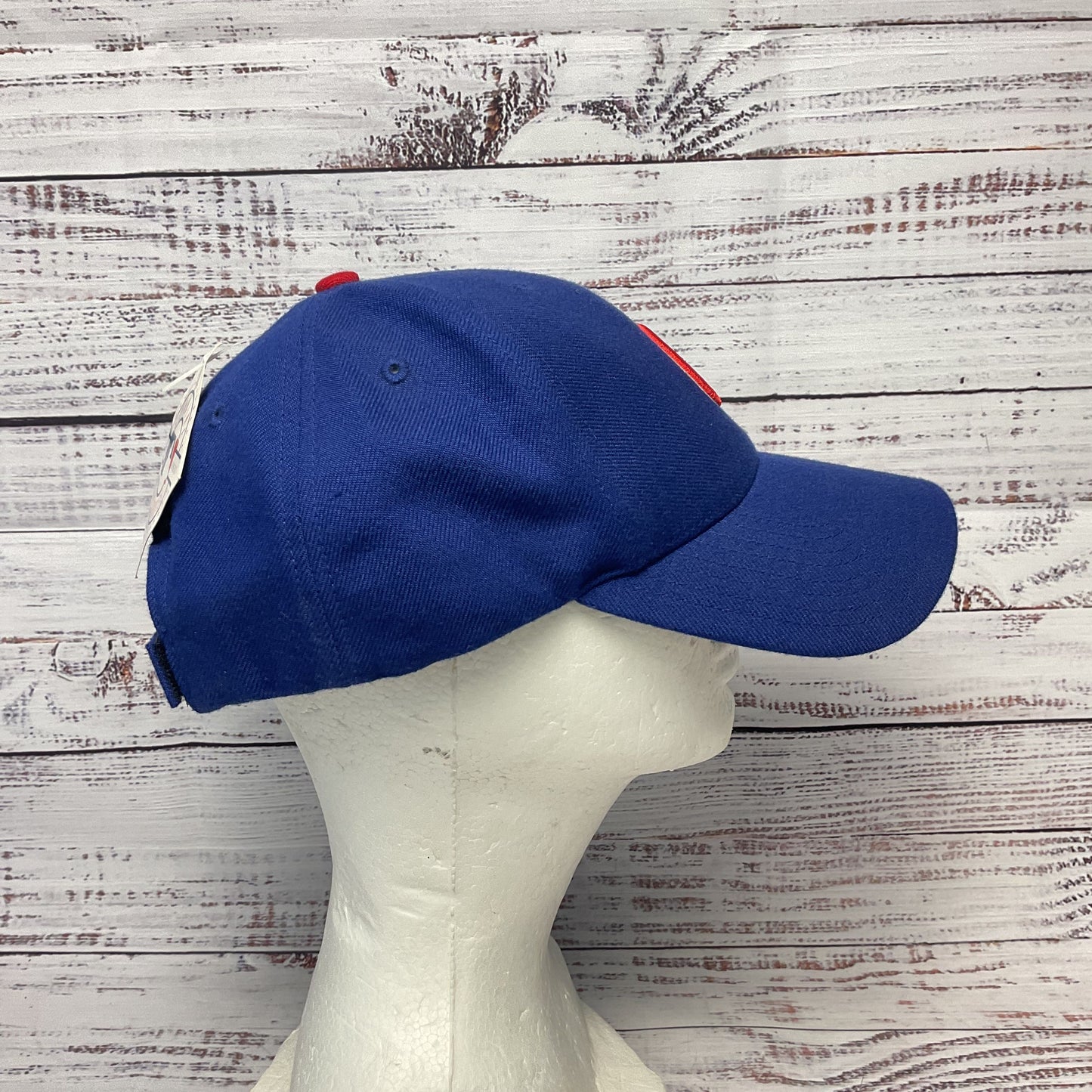 Chicago Cubs Twins Enterprise Blue MLB Baseball Cap Snap Back Hat New