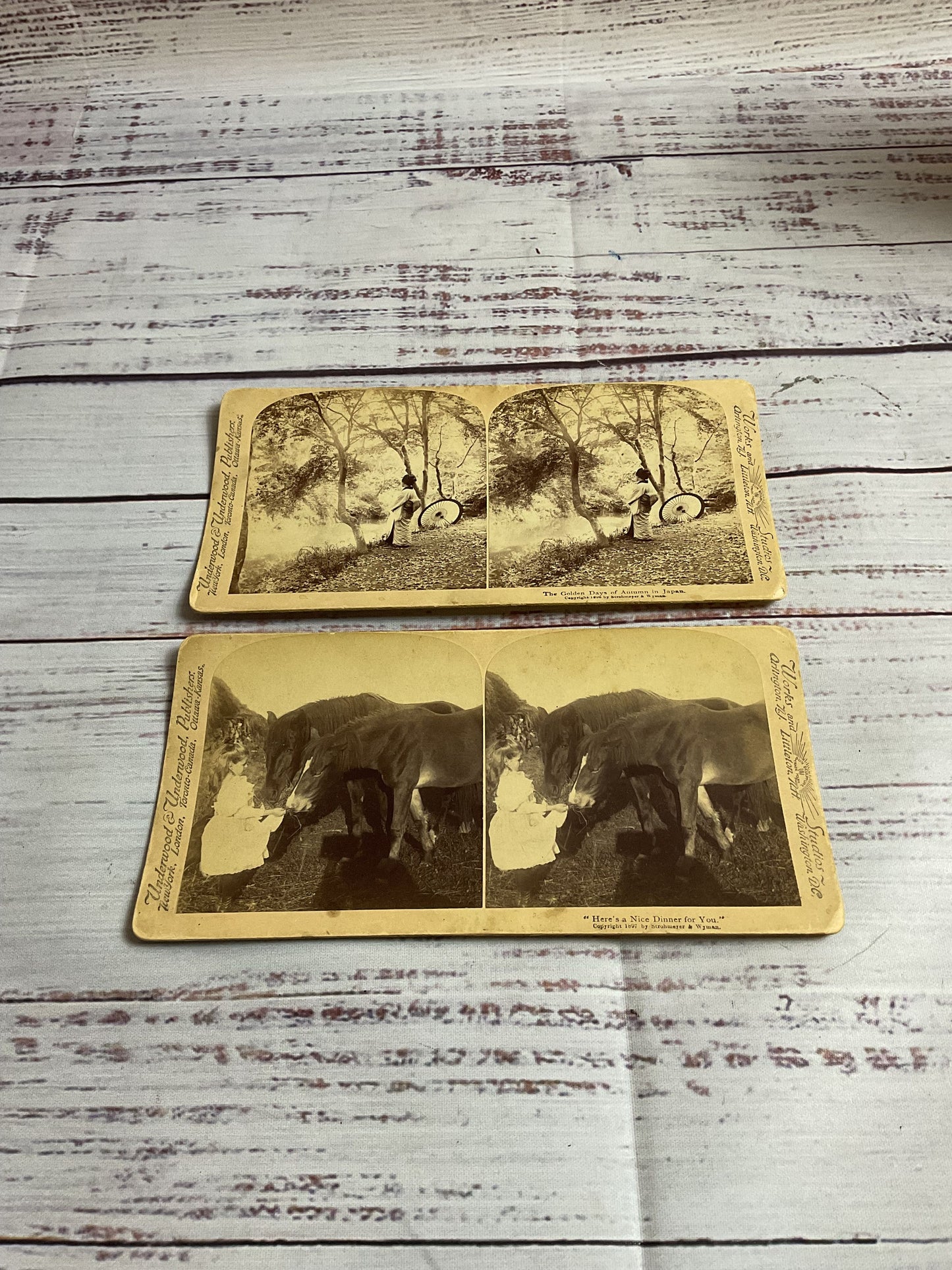 Underwood And Underwood Stereoscope Cards 1896/97