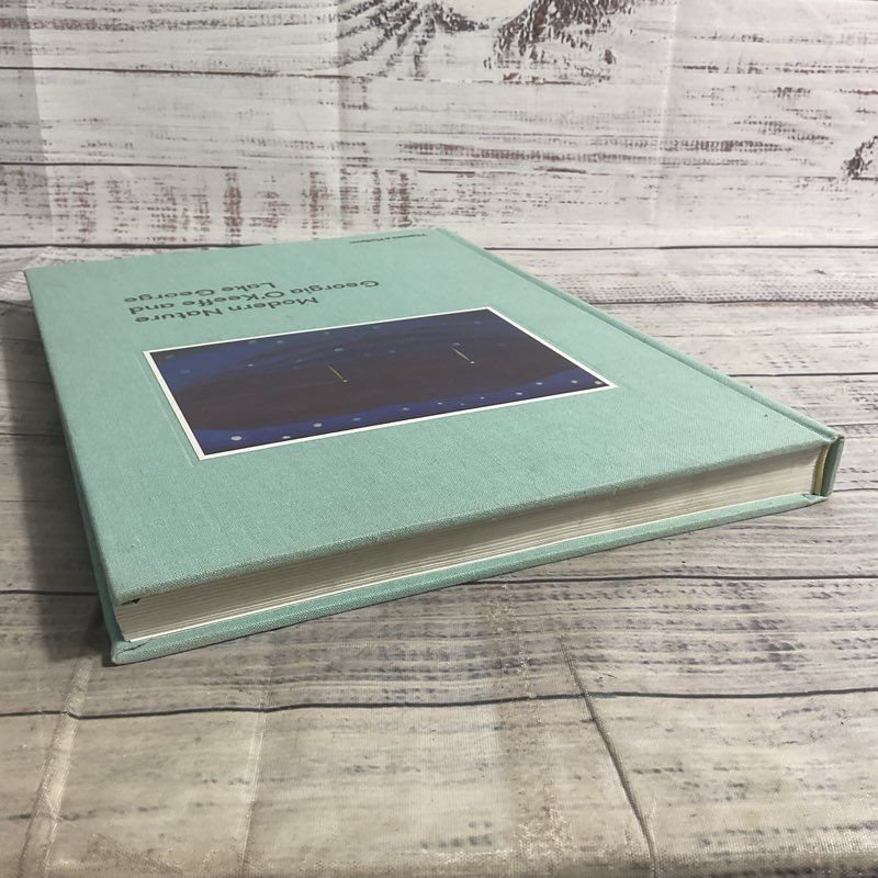 Modern Nature: Georgia O'keeffe And Lake George Hardcover Art Book 2013
