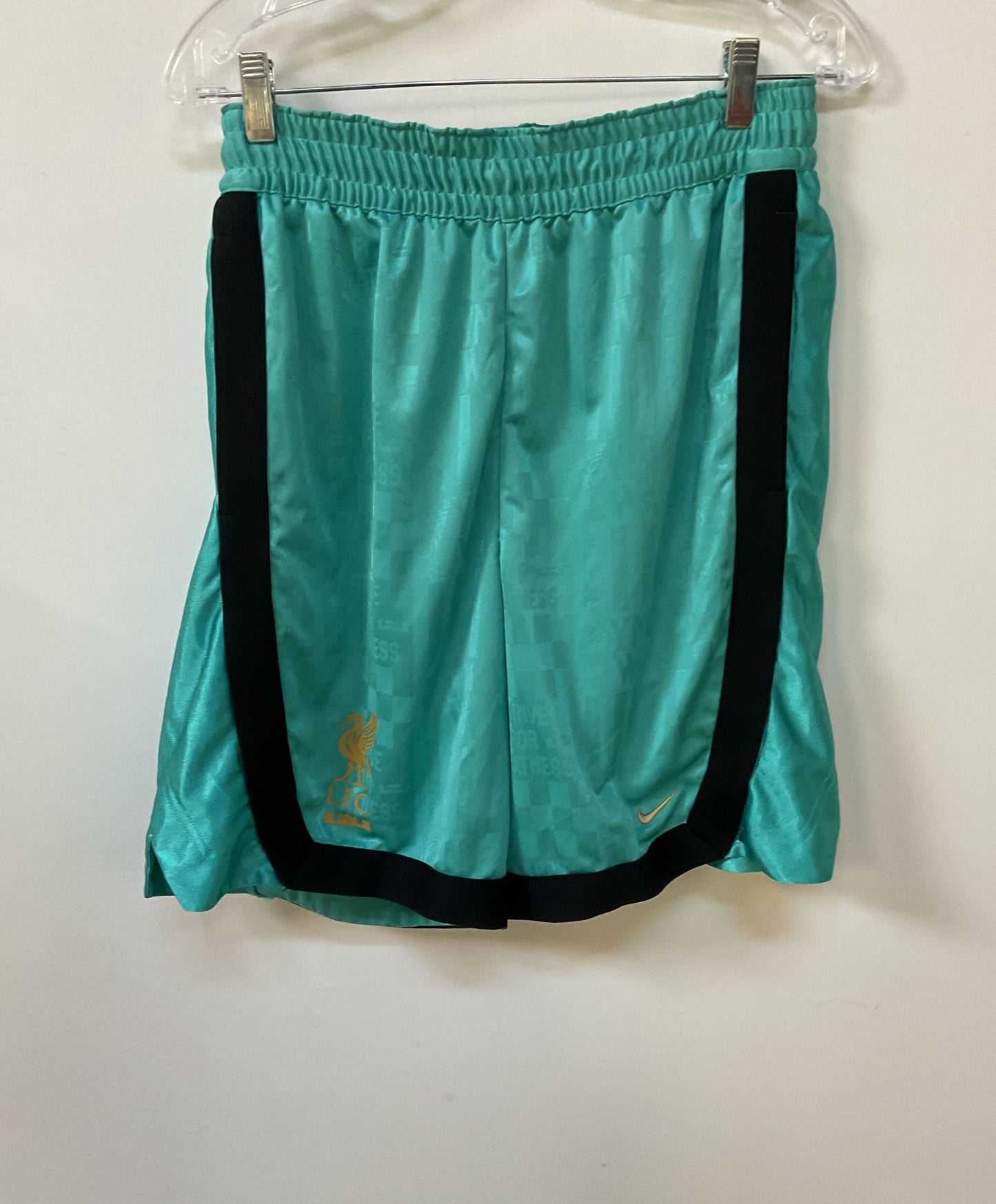 NWT Men's Nike LFC Green Shorts Size L