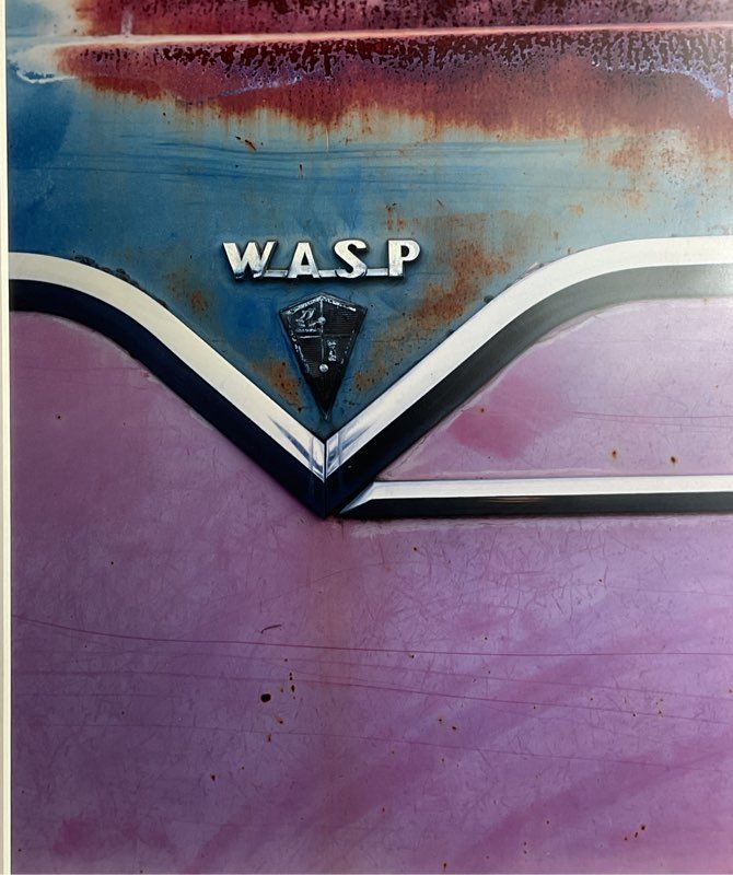Hudson Wasp Vintage Car 27 x 21 Photograph by Marc Valesella