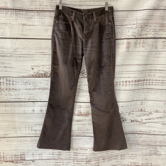 Theory Brown Velvet Flared Ankles Pants - Size 0