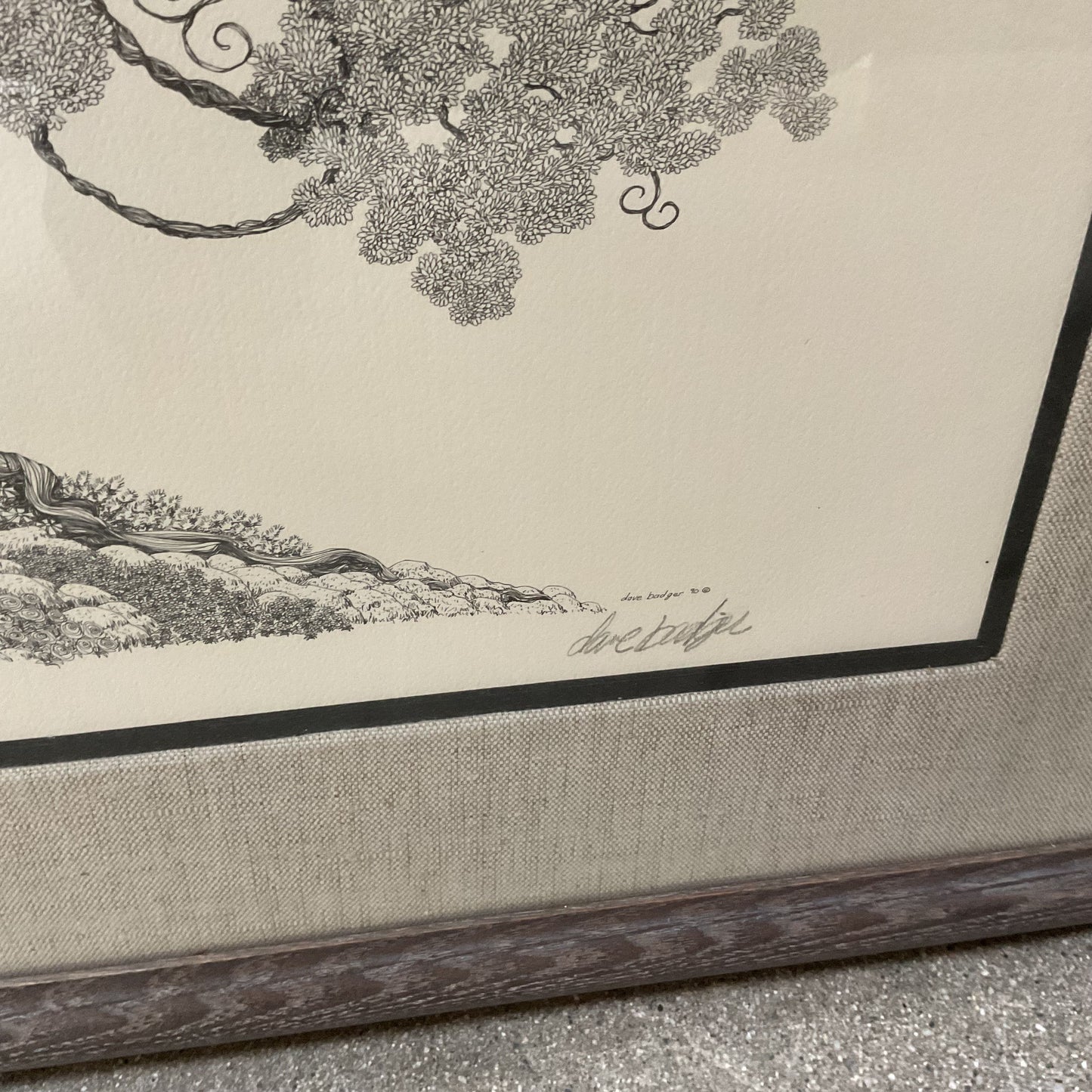Ripple Root Framed Print Signed by Dave Badger