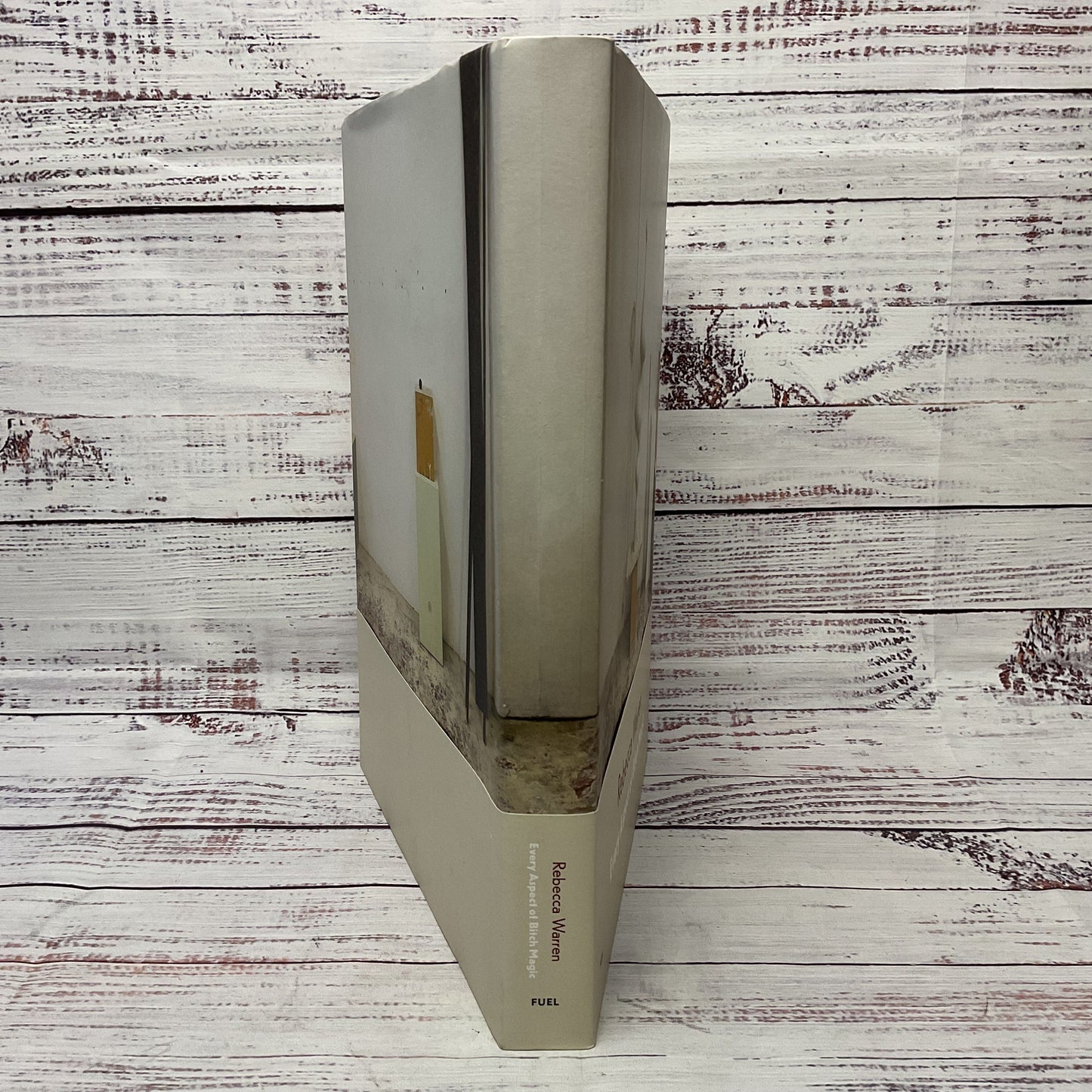 Rebecca Art Warren: Every Aspect Of Bitch Magic First Edition 2012 Hardcover