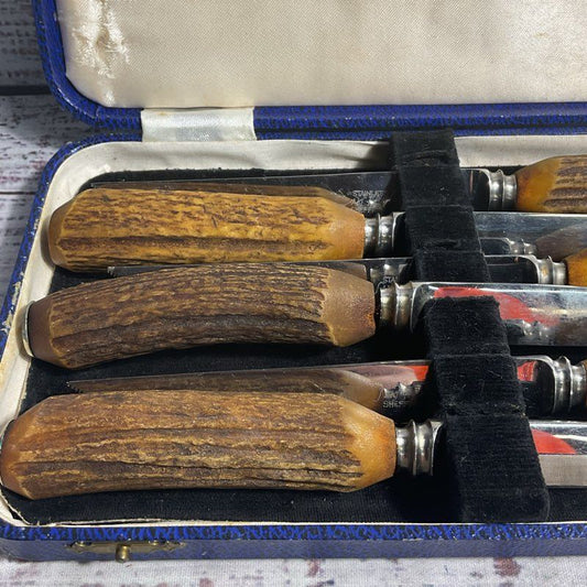 6 VTG Saks Fifth Genuine Stag Handle Sheffield Stainless Steel Steak Knives+Case