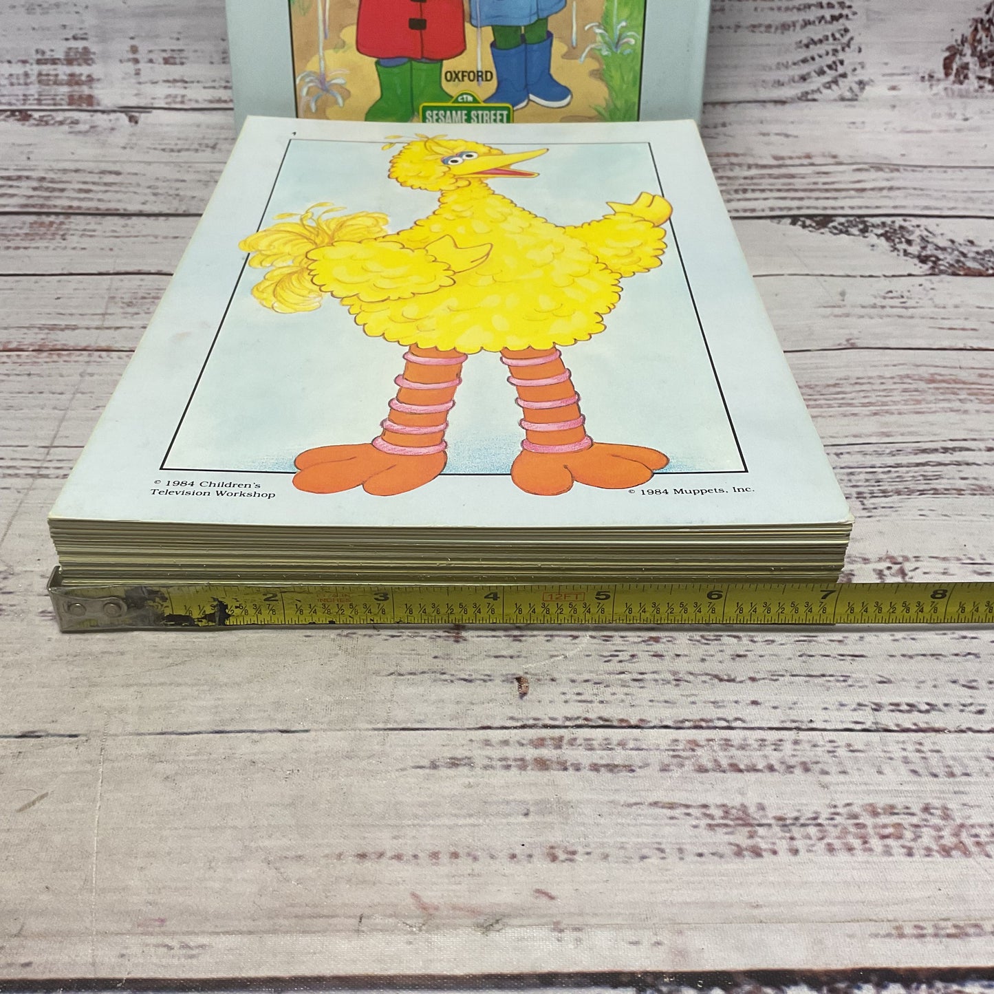 Sesame Street Large Picture Cards English As Second Language 75 Cards