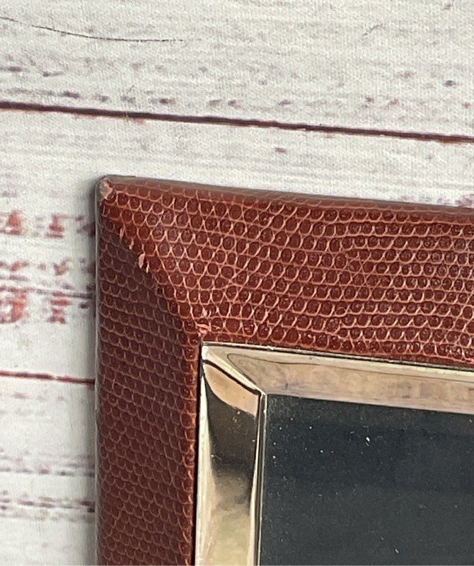 Tizo Snakeskin Embossed 4x6 Picture Frame Brown