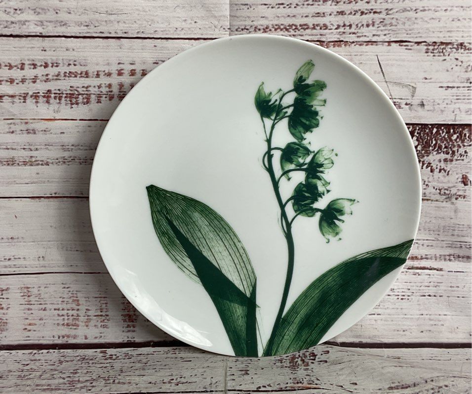 Contre Jour by Raynaud Limoges Floral Tea Cup Saucer Salad Plate White Green