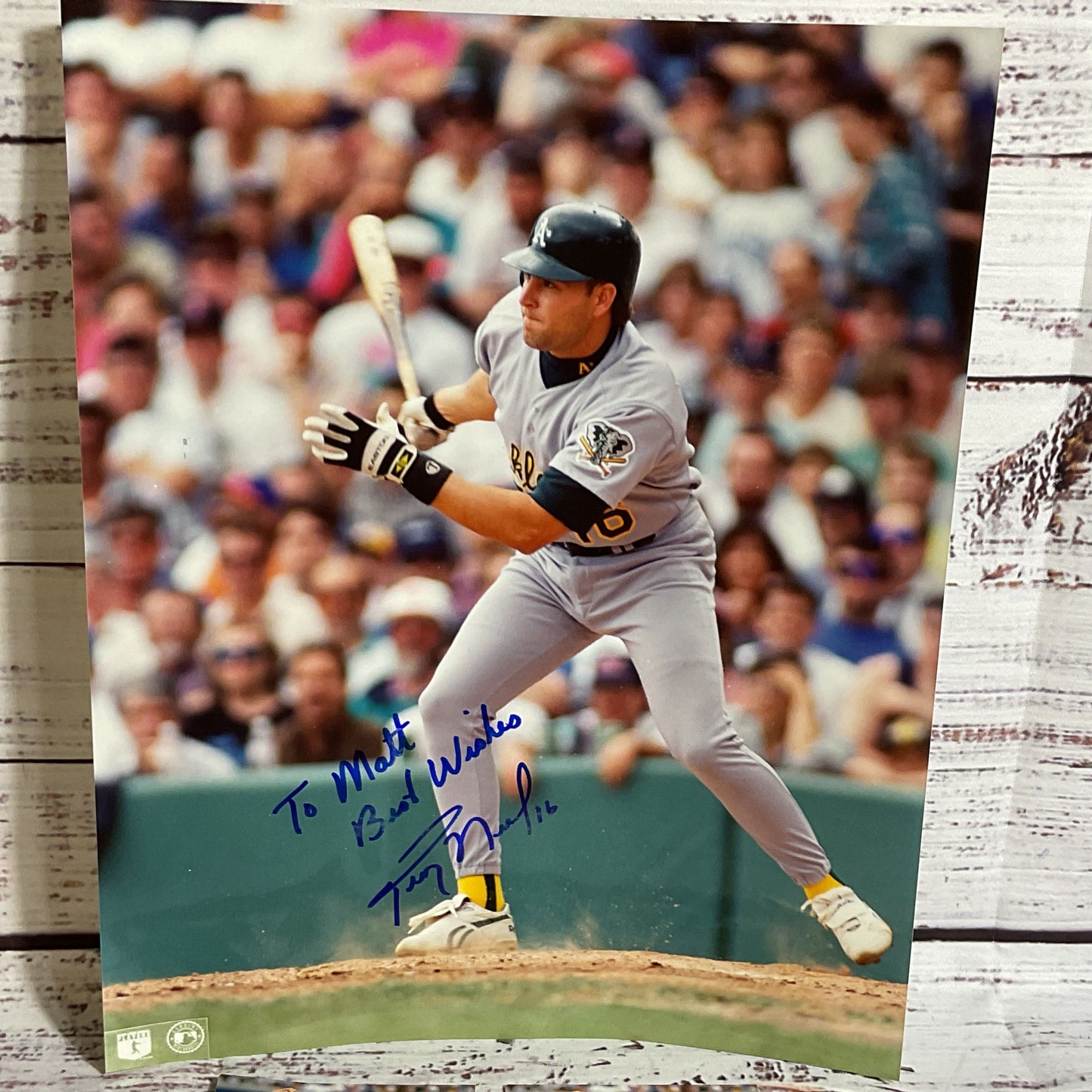 Signed MLB TROY NEEL Photograph And 94 Ultra Fleer Cards (1 Card Signed)