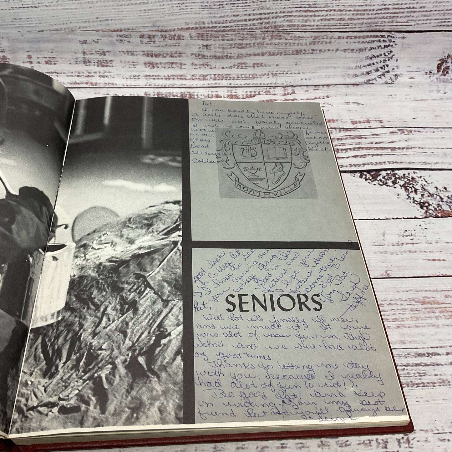 Palladium Northville Michigan 1970 Highschool Yearbook Palladium