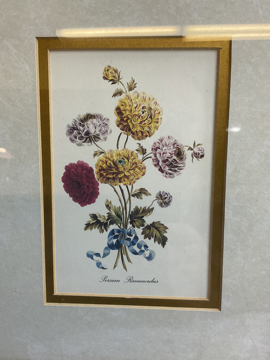 Persian Ranunculus Flower Art Print Golden Frame