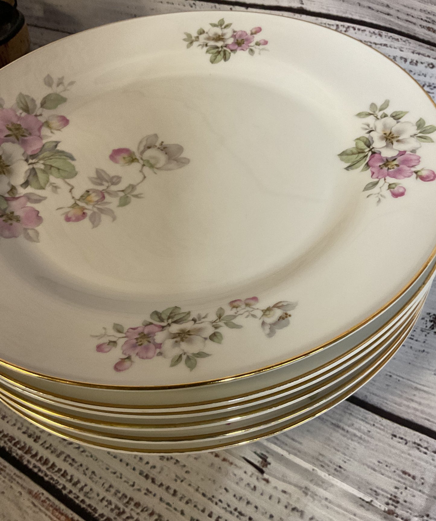 Tirschenreuth Bavaria Germany Apple Blossom White Porcelain 6 Dinner Plates
