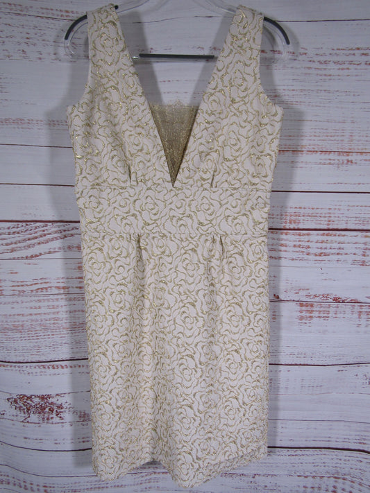 Lucy De Castenou Women's White V-Neck Lace Overlay Sleeveless Dress Size 10