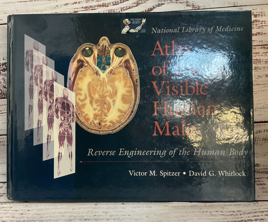 National Library of Medicine Atlas of The Visible Human Male