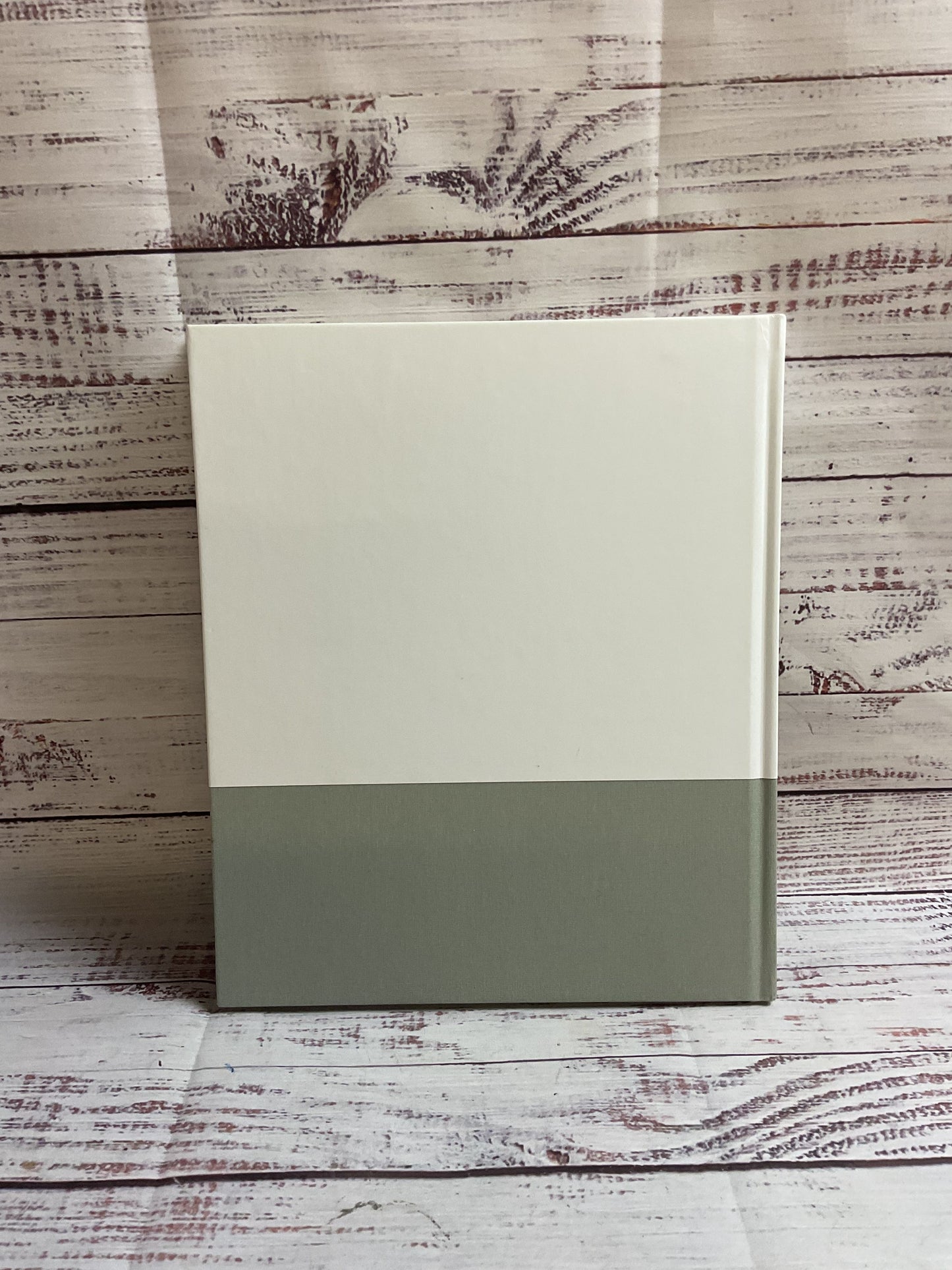 Hilary Pecis Hardcover Artbook