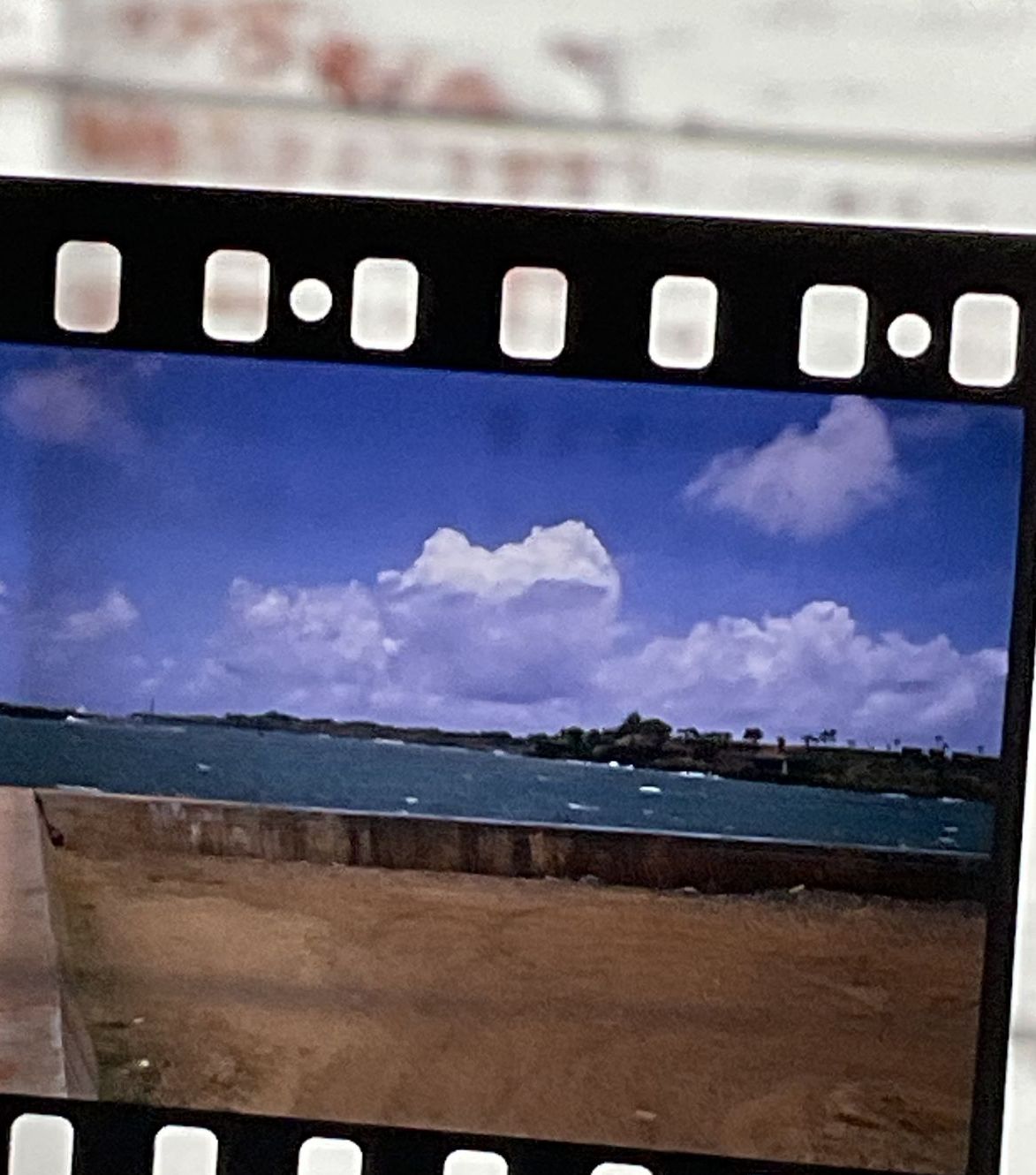 Vintage Kodak Germany Rome Worldwide Negatives