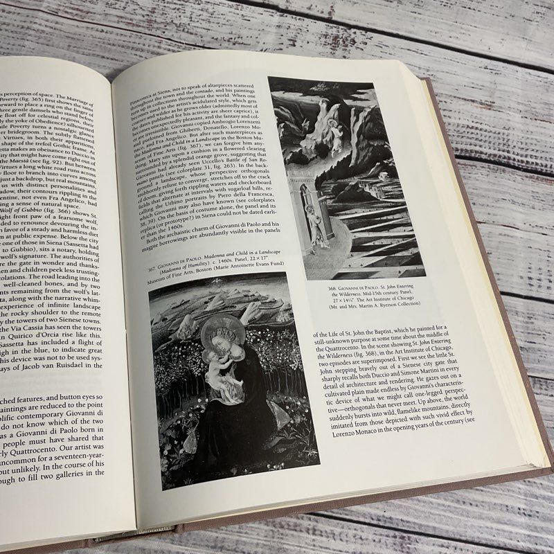 Hartt History Of The Italian Renaissance Third Edition Hardcover Book
