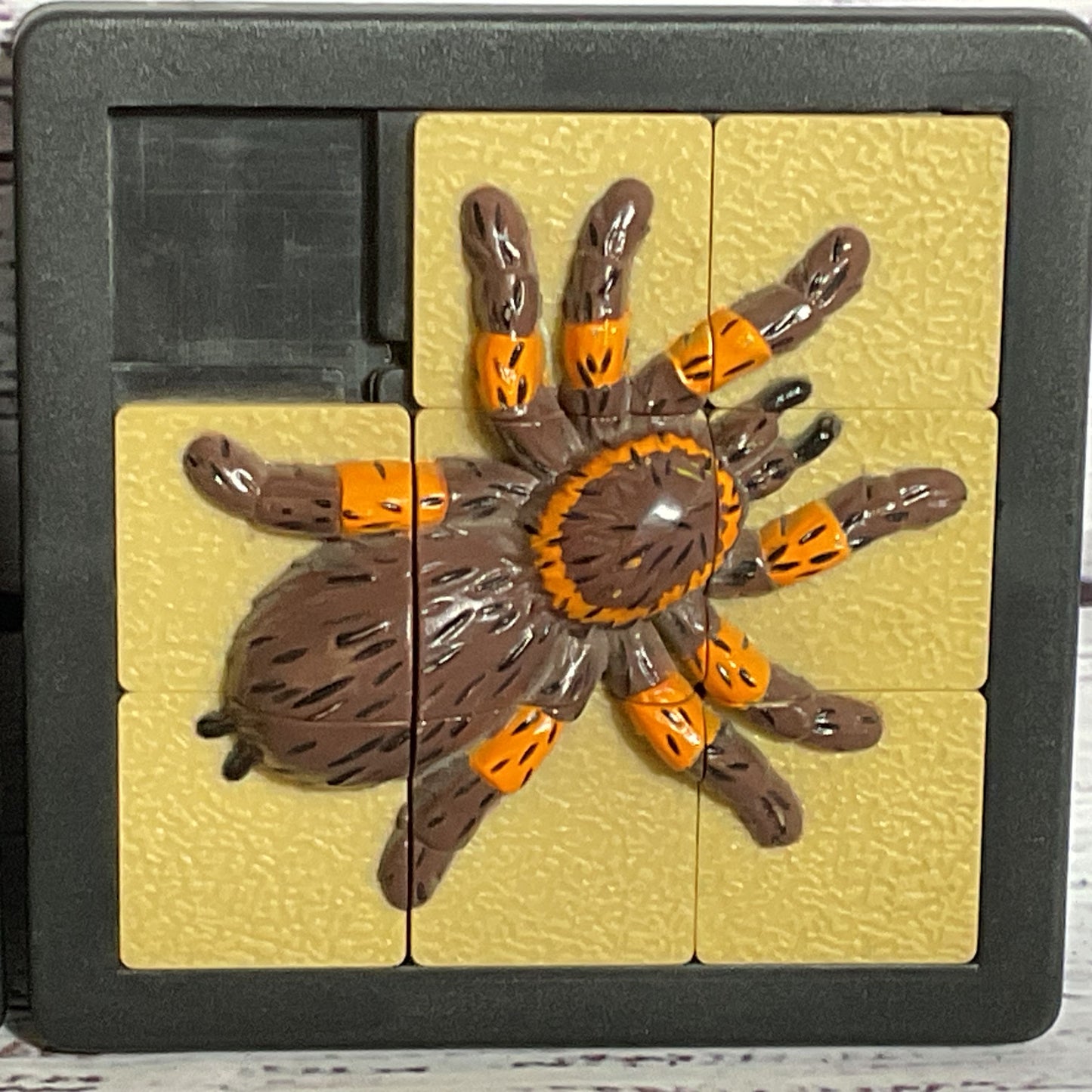 Set of 2 DAMERT Company Lizard and Tarantula 3-D Slide Puzzles- 4" x 4"
