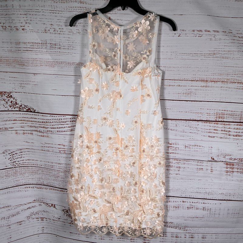 NWT Adrianna Papell Ivory & Blush Floral Embroidery Dress Size 6 Retail $179