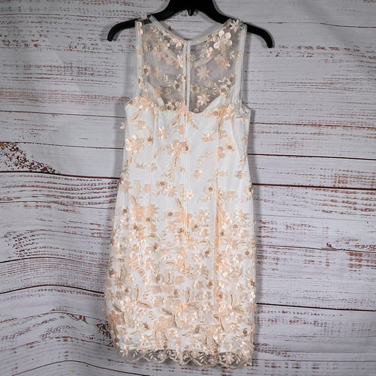 NWT Adrianna Papell Ivory & Blush Floral Embroidery Dress Size 6 Retail $179