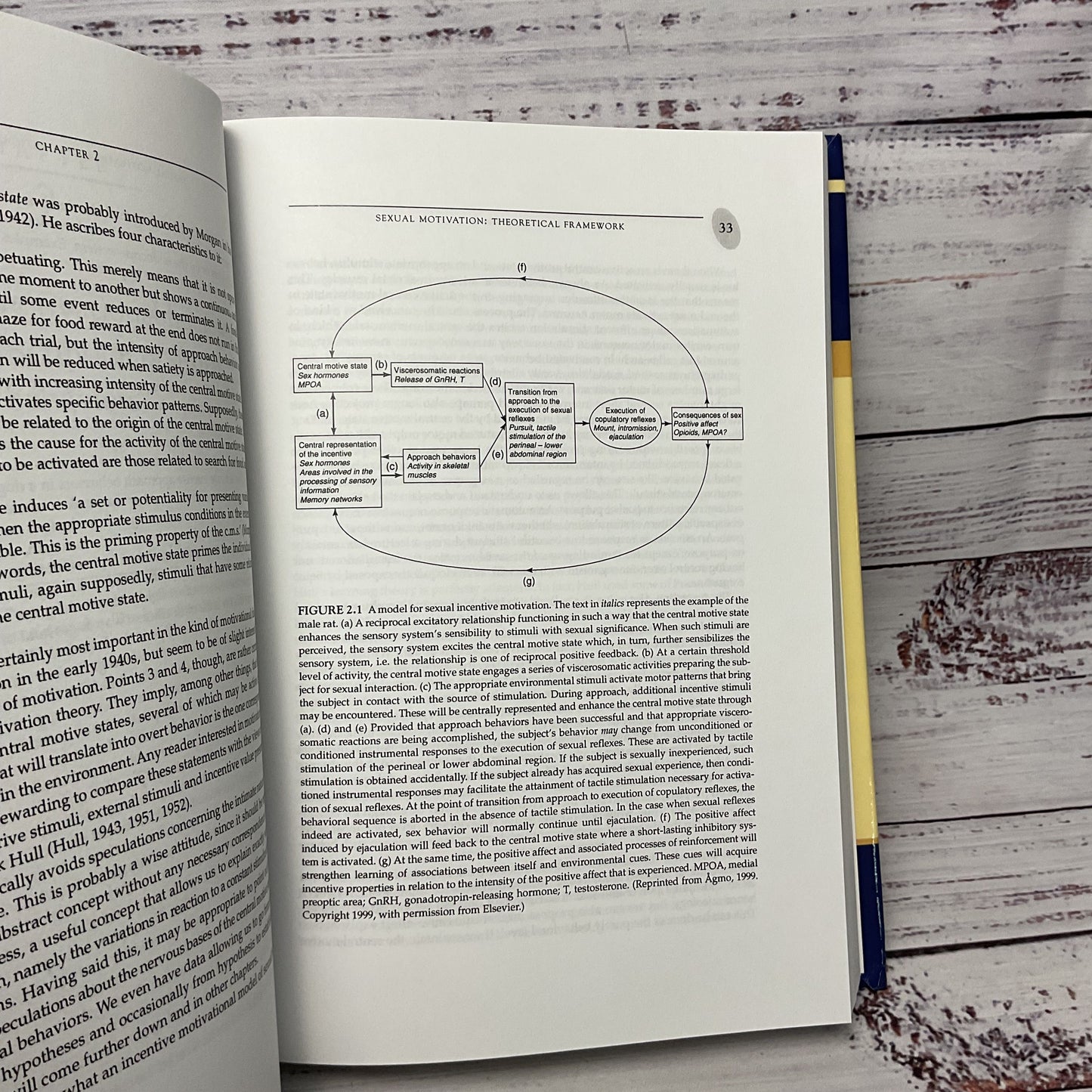 Functional and Dysfunctional Sexual Behavior Synthesis Psychology Hardcover Book