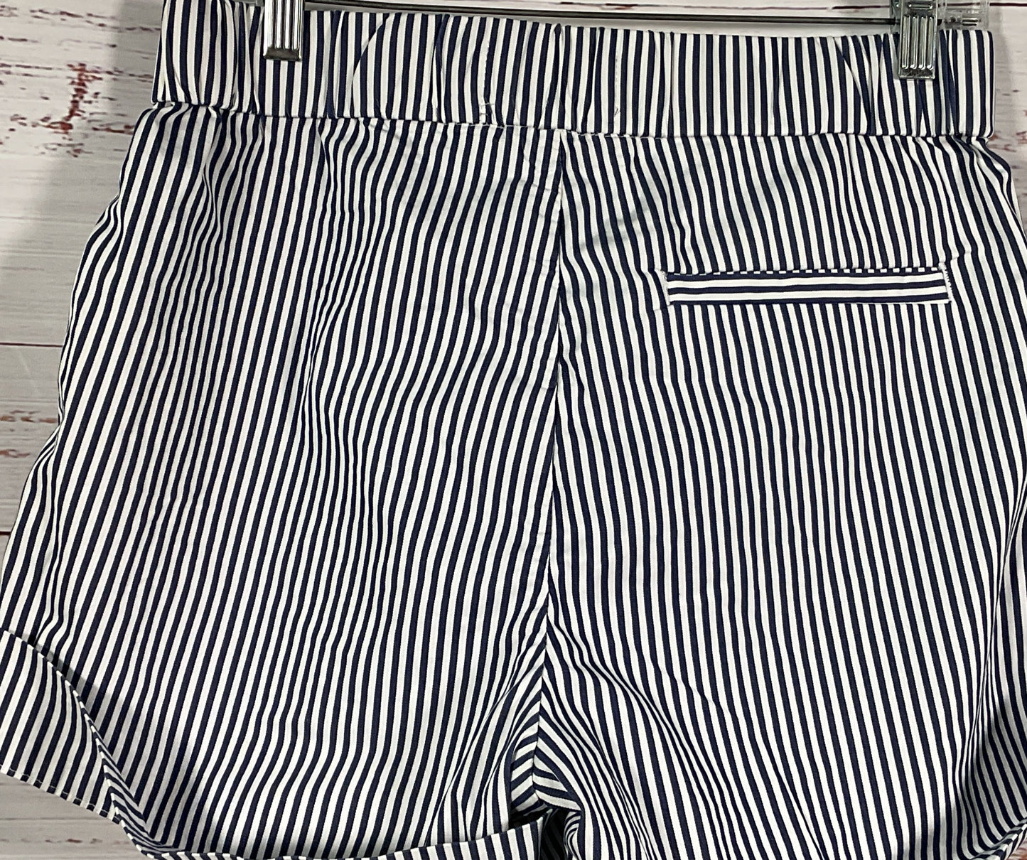 Everlane Striped The Easy Short Blue White 10