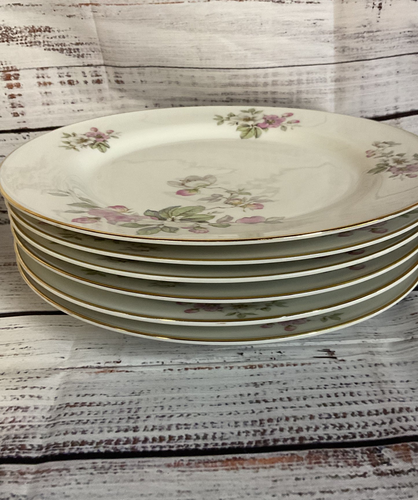 Tirschenreuth Bavaria Germany Apple Blossom White Porcelain 6 Dinner Plates
