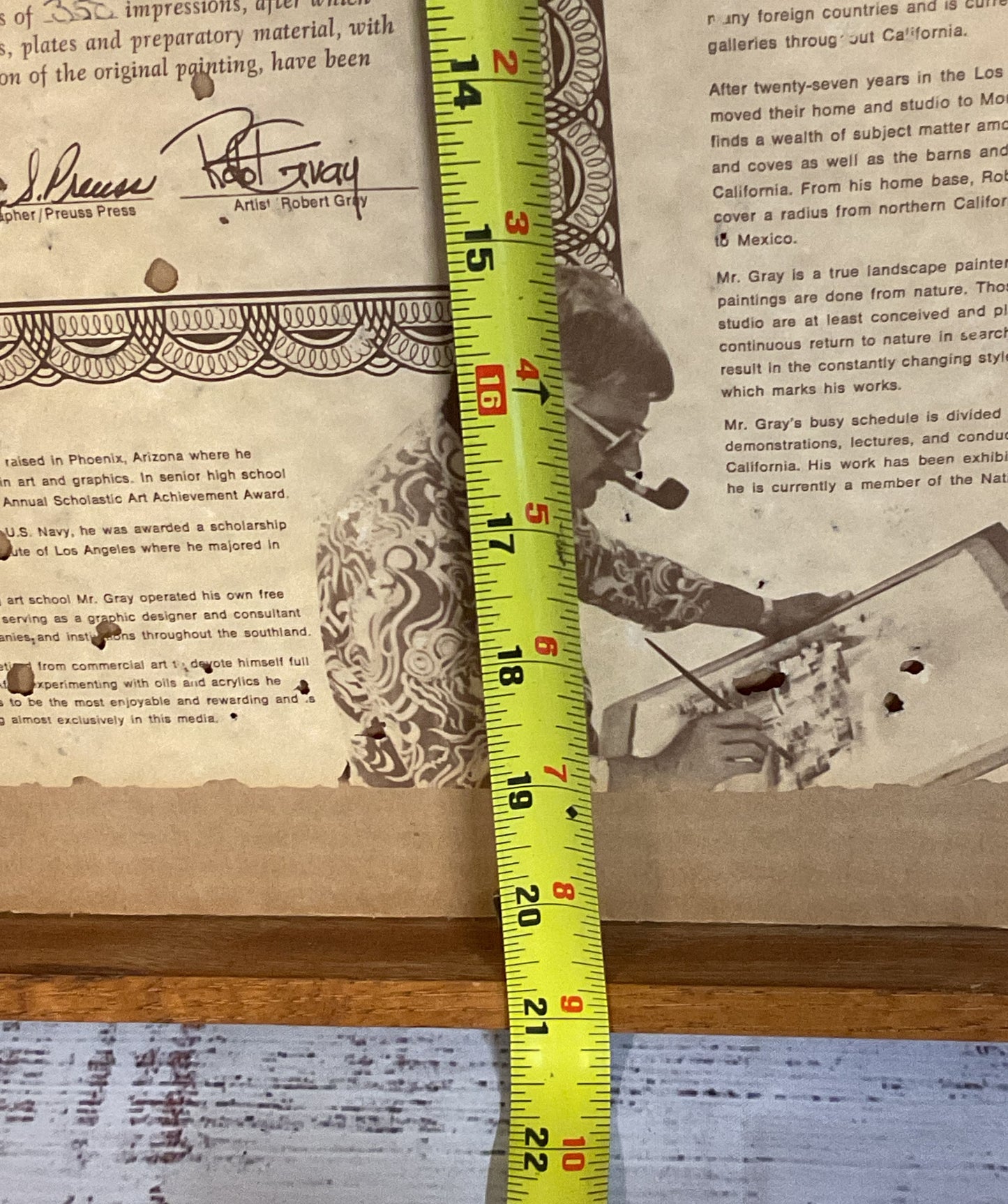 Limited Edition Signed Lithograph Print by Robert Gray Framed with COA 88/350