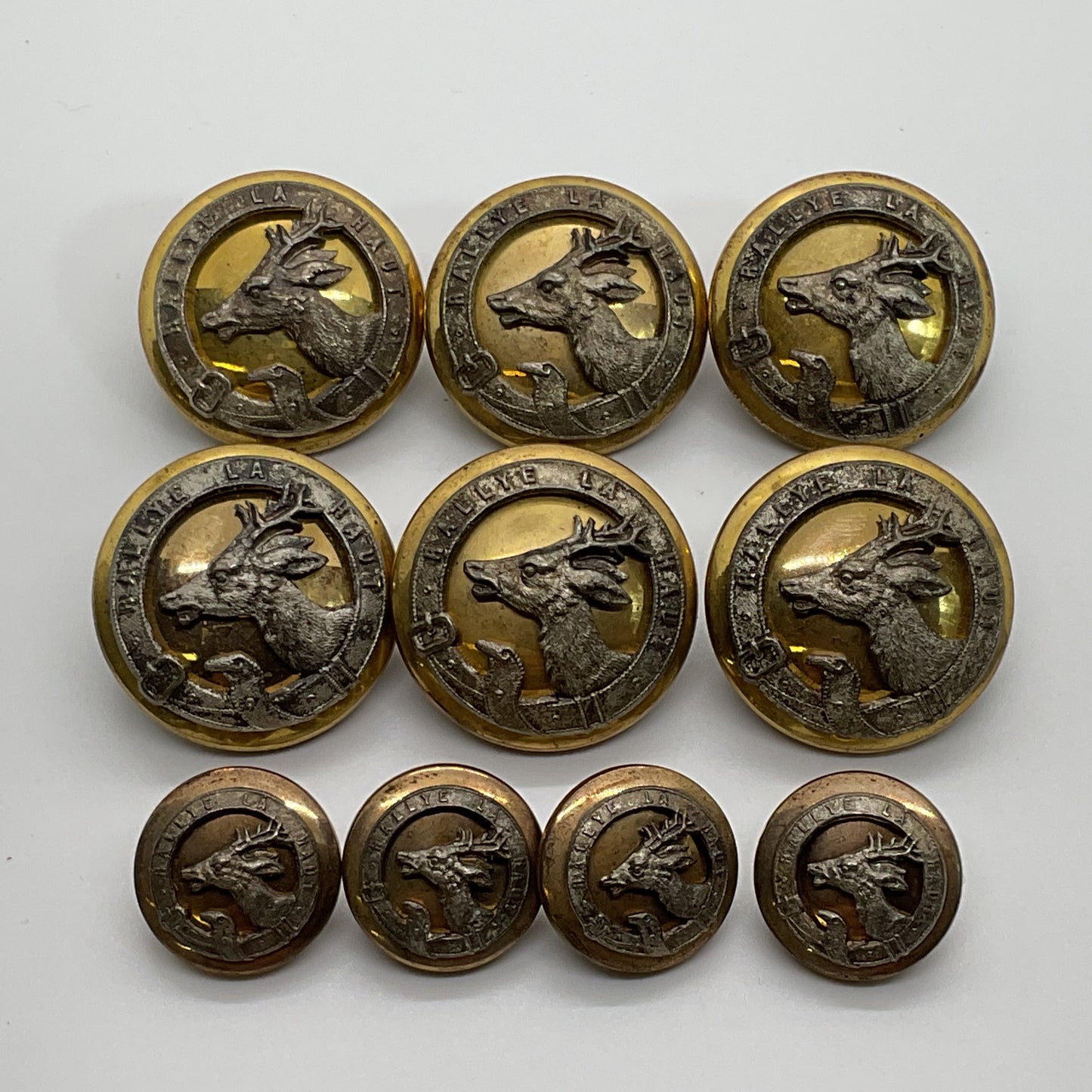 ANTIQUE SUPERIEUR France Rallye LA Haut Two Tone Deer Motif Buttons- Set of 10