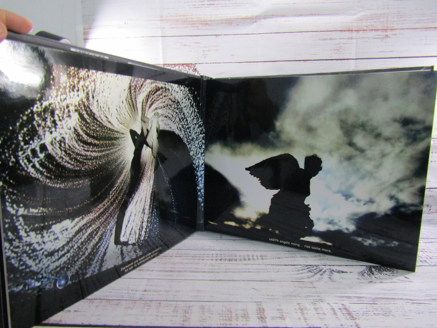 Rise by Layla Love Photography Book