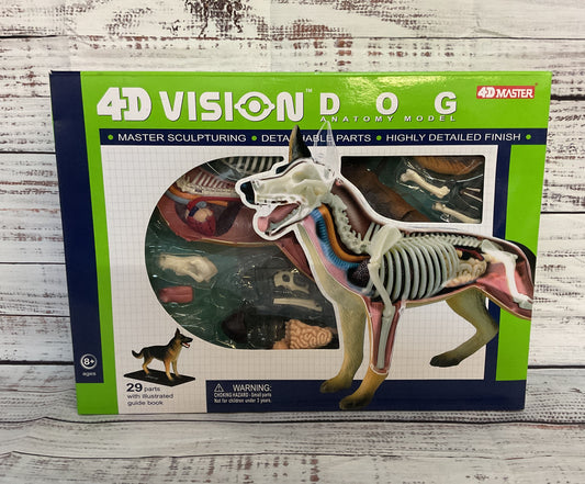 Skynet 4D Vision Dog Dissection Model Toy Kit
