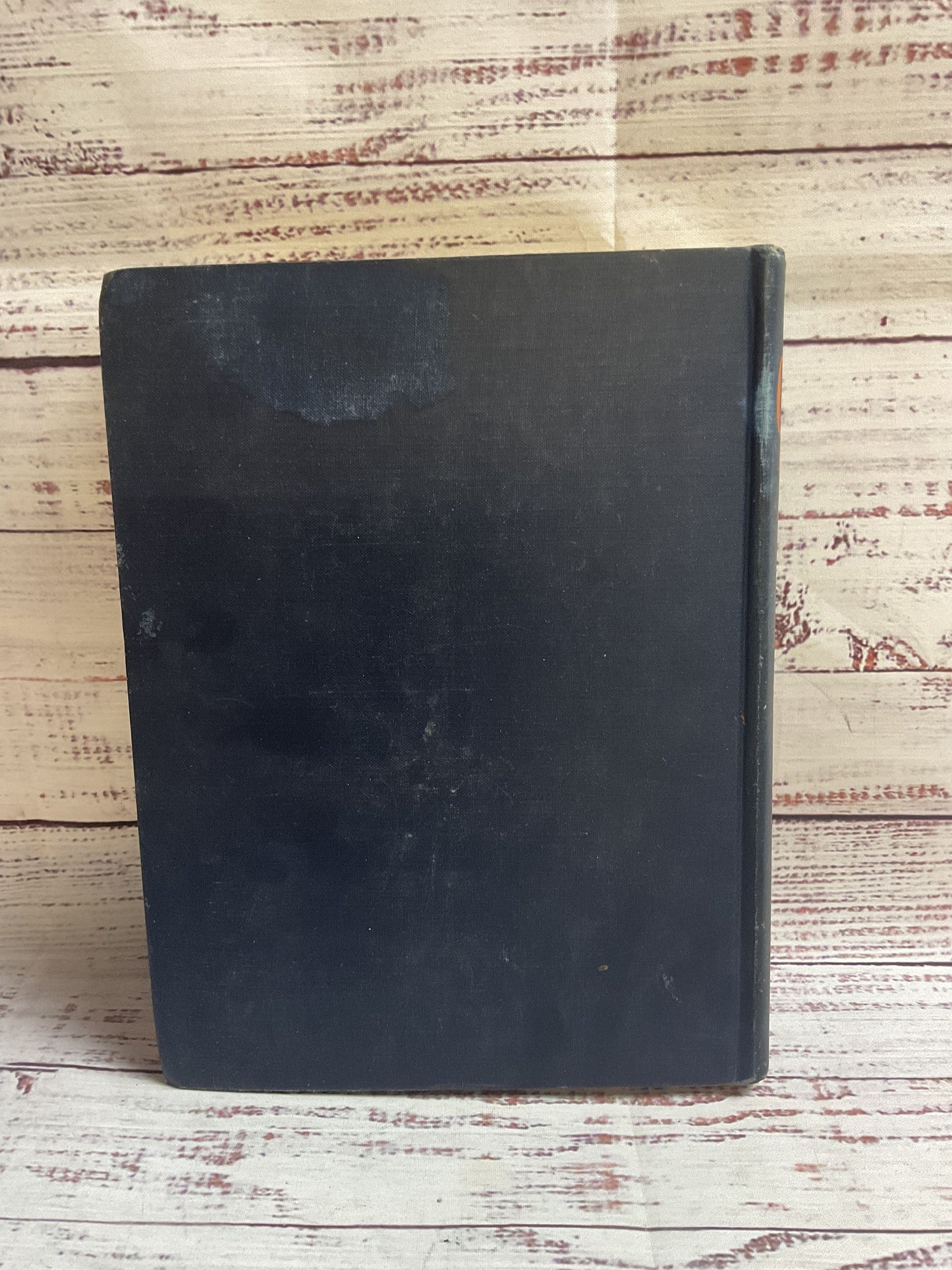 Ojo In Oz By Ruth Plumly Thompson 1933 Book