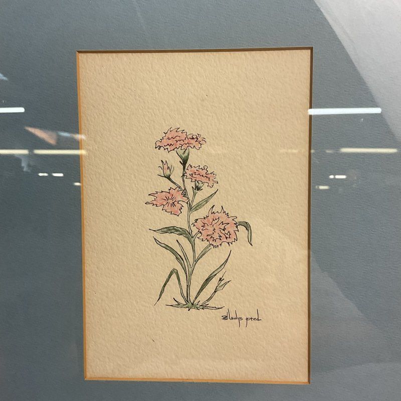 VTG. Pink Carnations Original Drawing by Gladys Pred 15" Signed, Matted & Framed