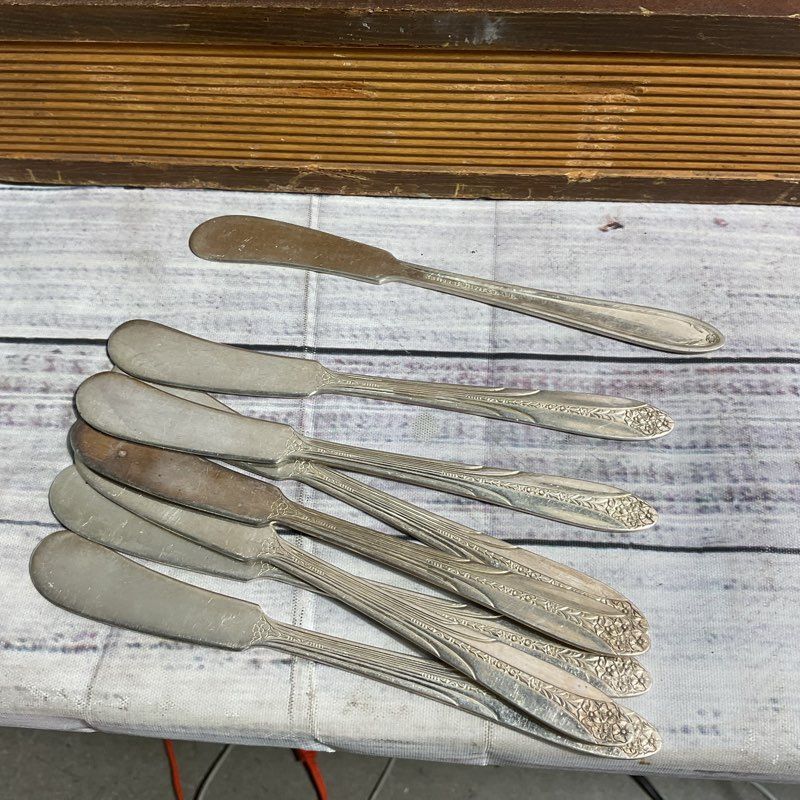 VTG National Silver Co 1930 Princess Royal 37 Pc Silver Plate Flatware Set+Case