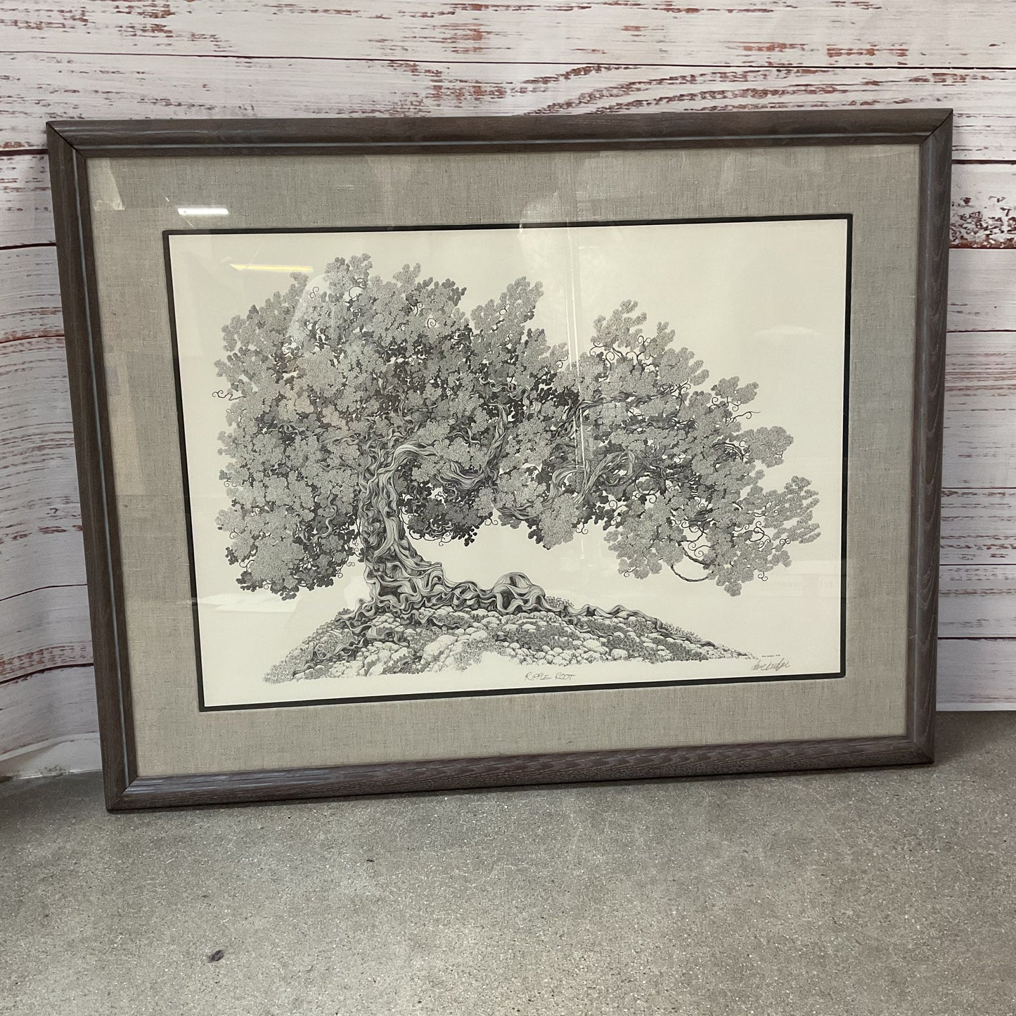 Ripple Root Framed Print Signed by Dave Badger