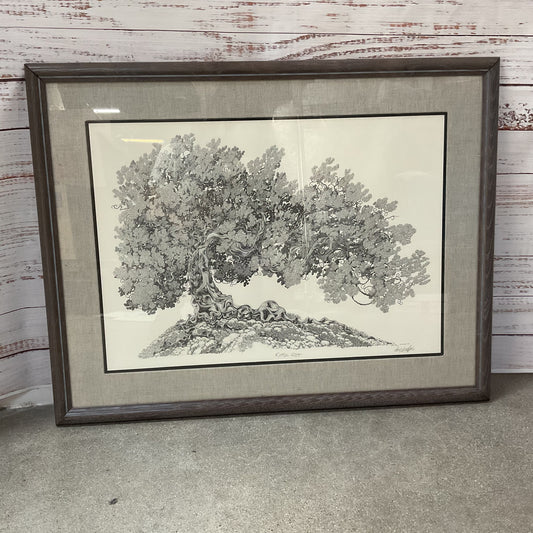 Ripple Root Framed Print Signed by Dave Badger