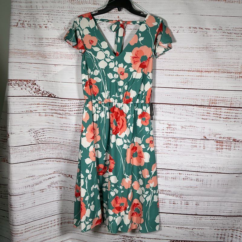 NWT Adrianna Papell Swaying Floral Bias Midi Green Print Dress Sz 6 Retail $159